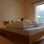 Apartment Ferienhaeuser Stiva Pintga